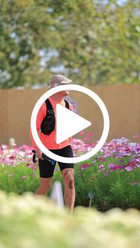 BIB:  <button type="button" onclick="openModal(27585051)" class="btn btn-primary btn-sm float-right" data-toggle="modal" data-target=".modal-high-quality">
                <i class="fa fa-download"></i> Download
                </button>